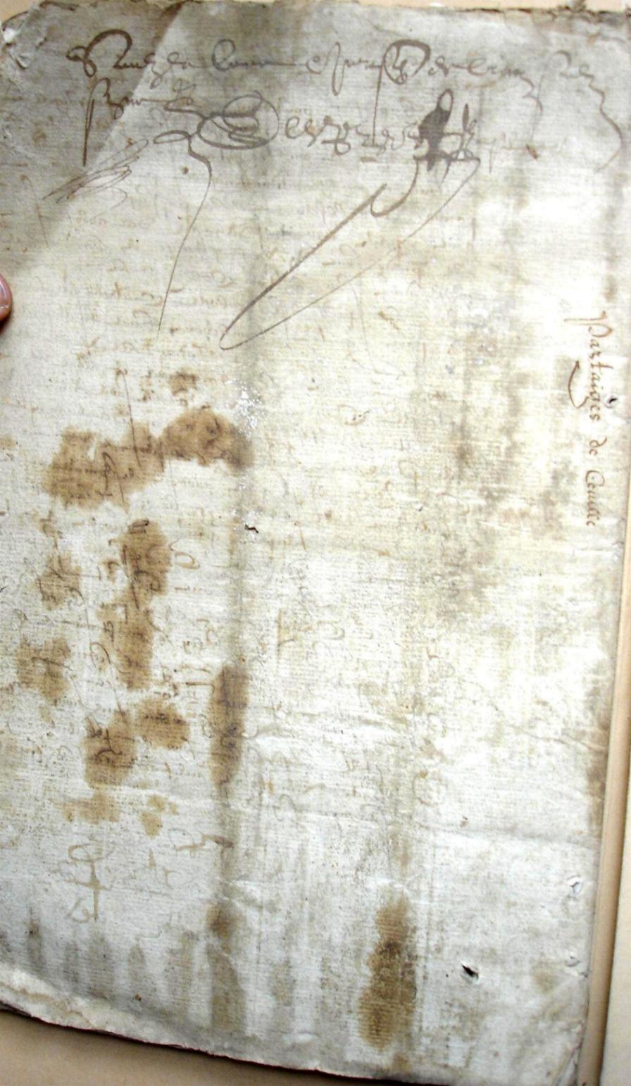 Thieurine_1589 (20).JPG